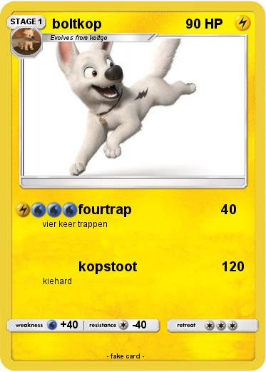 Pokemon boltkop