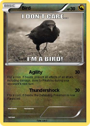 Pokemon Bird