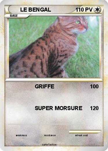 Pokemon LE BENGAL