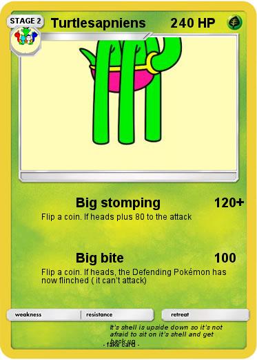 Pokemon Turtlesapniens       2
