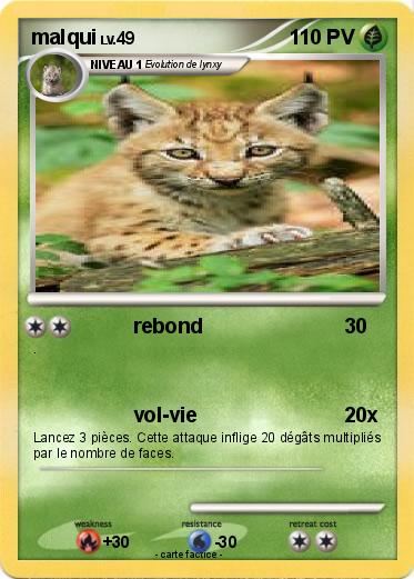 Pokemon malqui