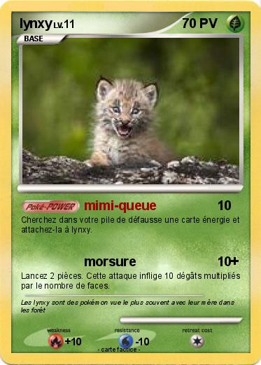 Pokemon lynxy