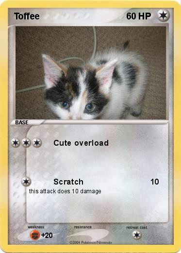 Pokemon Toffee