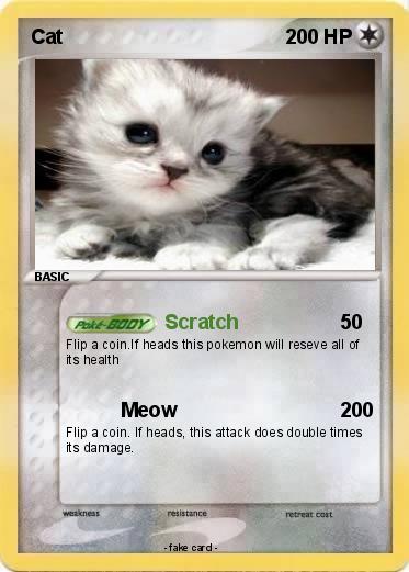 Pokemon Cat