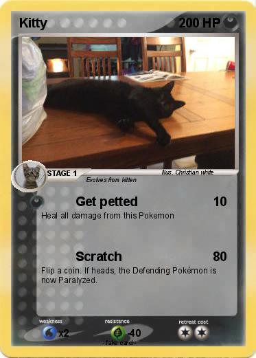Pokemon Kitty