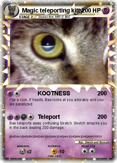 Pokemon Magic teleporting kitty