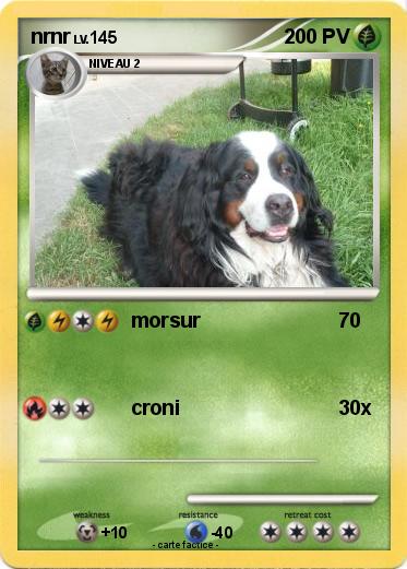 Pokemon nrnr