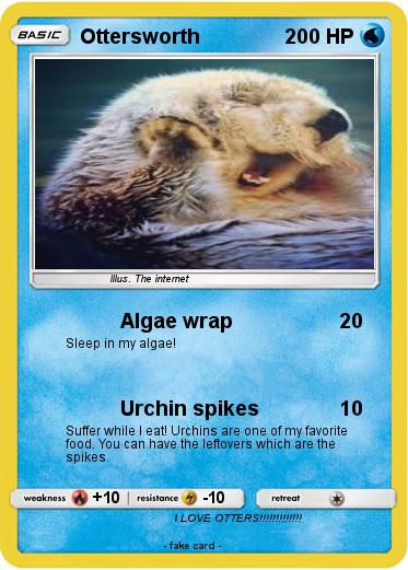 Pokemon Ottersworth
