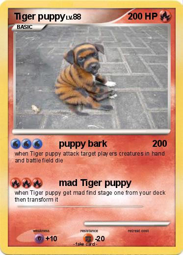 Pokemon Tiger puppy