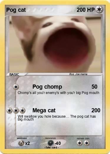 Pokemon Pog cat