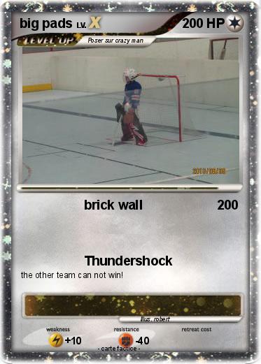 Pokemon big pads