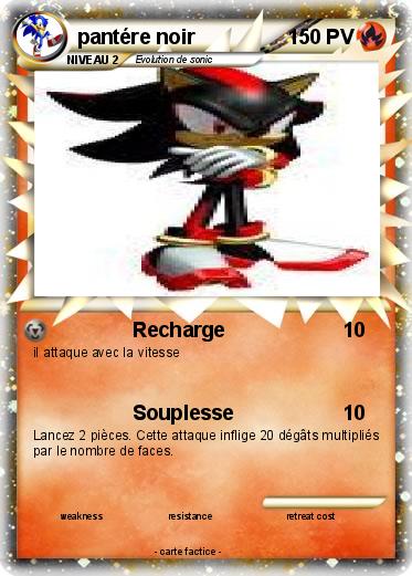 Pokemon pantére noir