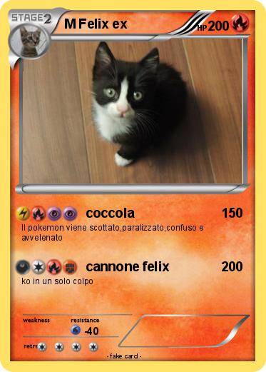 Pokemon M Felix ex