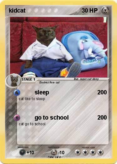 Pokemon kidcat