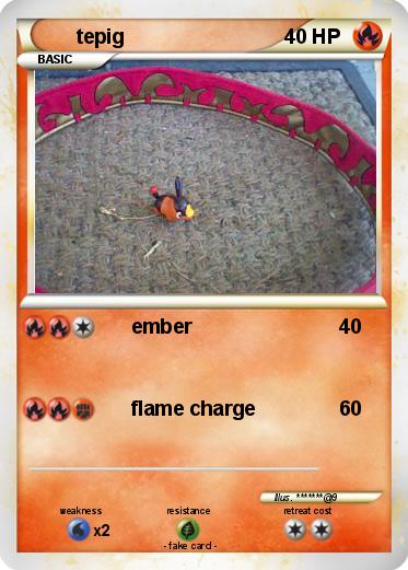 Pokemon tepig