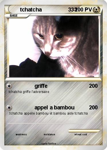 Pokemon tchatcha                  333