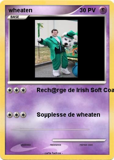 Pokemon wheaten