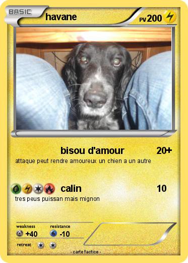Pokemon havane