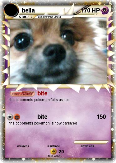 Pokemon bella