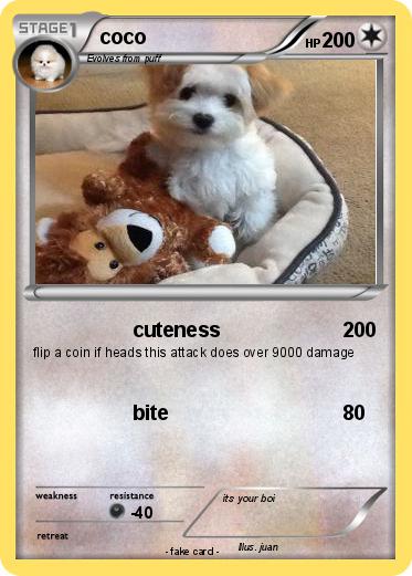 Pokemon coco