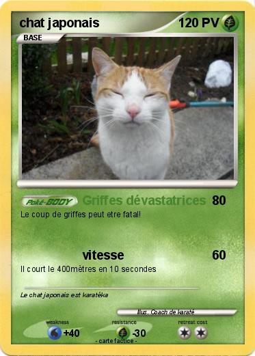 Pokemon chat japonais