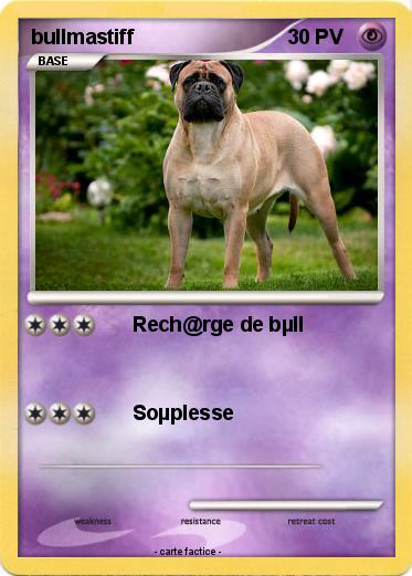 Pokemon bullmastiff