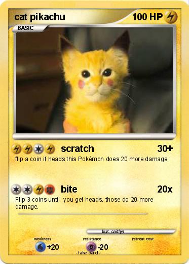 Pokemon cat pikachu