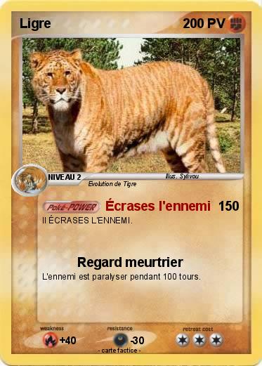 Pokemon Ligre