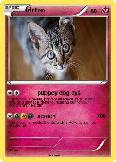 Pokemon kitten