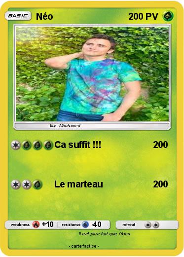 Pokemon Néo