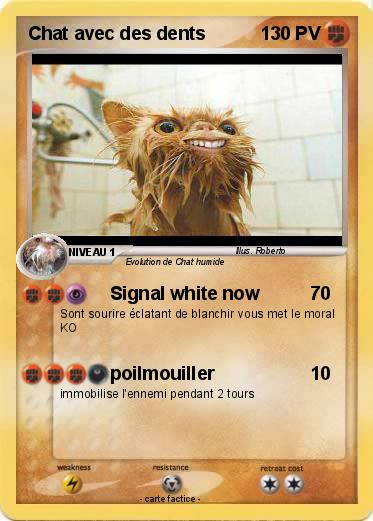 Pokemon Chat avec des dents