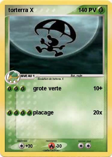 Pokemon torterra X