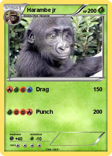 Pokemon Harambe jr