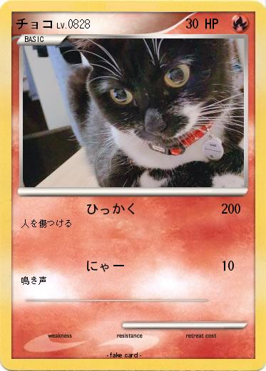 Pokemon チョコ
