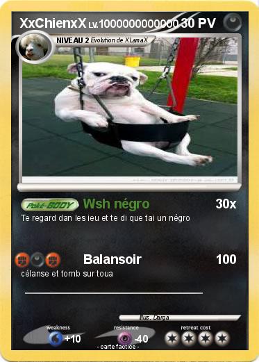 Pokemon XxChienxX