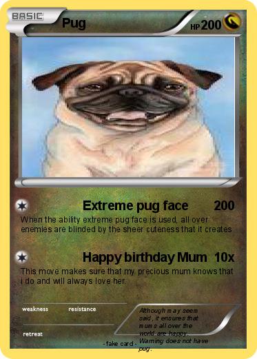 Pokemon Pug
