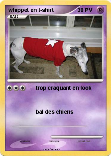 Pokemon whippet en t-shirt