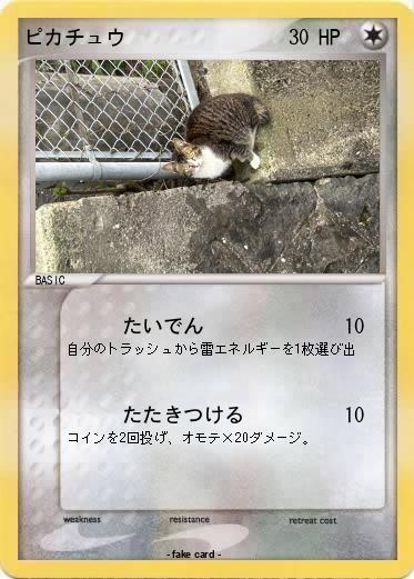 Pokemon ピカチュウ