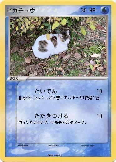 Pokemon ピカチュウ
