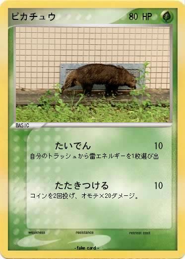 Pokemon ピカチュウ