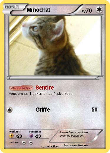 Pokemon Minochat
