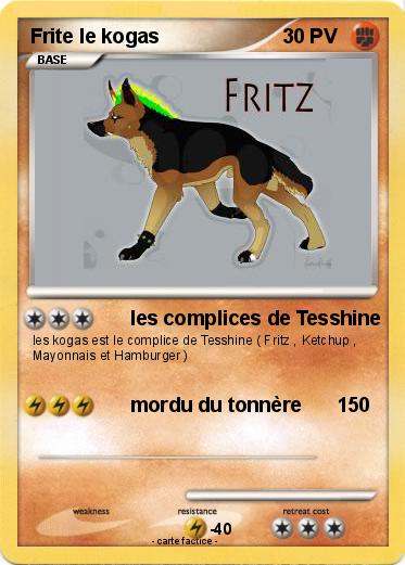 Pokemon Frite le kogas
