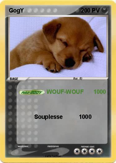 Pokemon GogY
