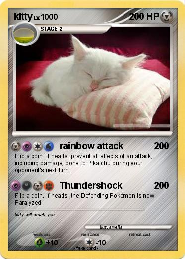 Pokemon kitty