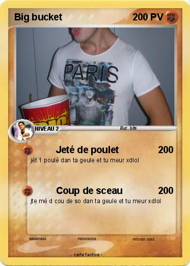 Pokemon Big bucket