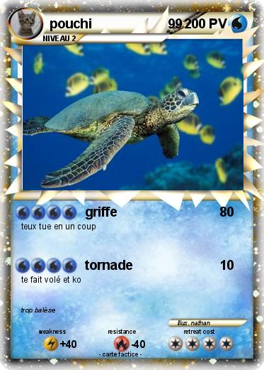 Pokemon pouchi                     99