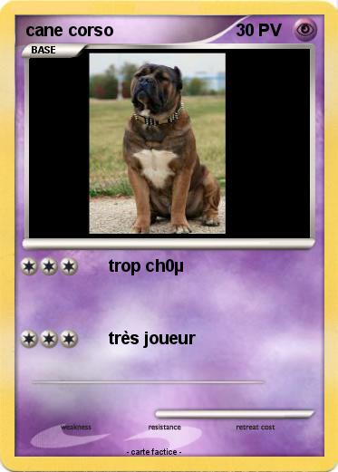 Pokemon cane corso