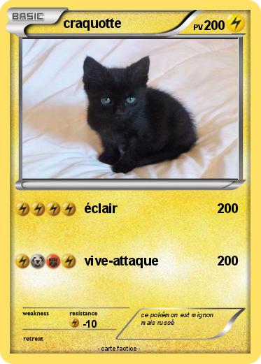 Pokemon craquotte