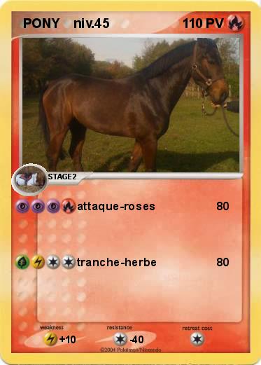 Pokemon  PONY    niv.45