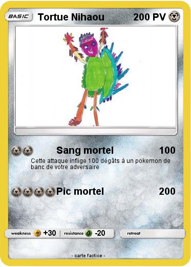 Pokemon Tortue Nihaou